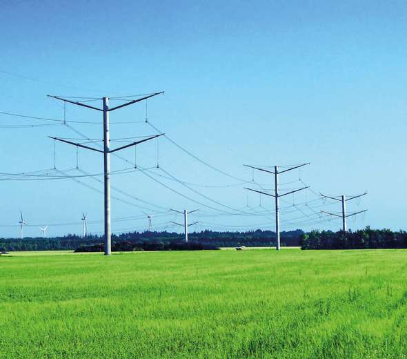 P10003951.jpg P10003951.jpg