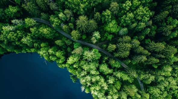 AdobeStock_274087646.jpeg AdobeStock_274087646.jpeg