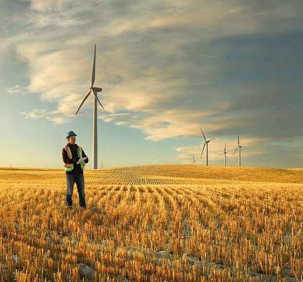 image4.jpeg image4.jpeg